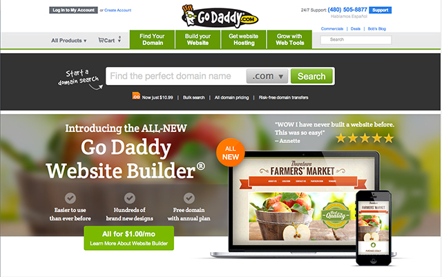 3 Reasons Why You Shouldn't Use GoDaddy For Your Website Needs