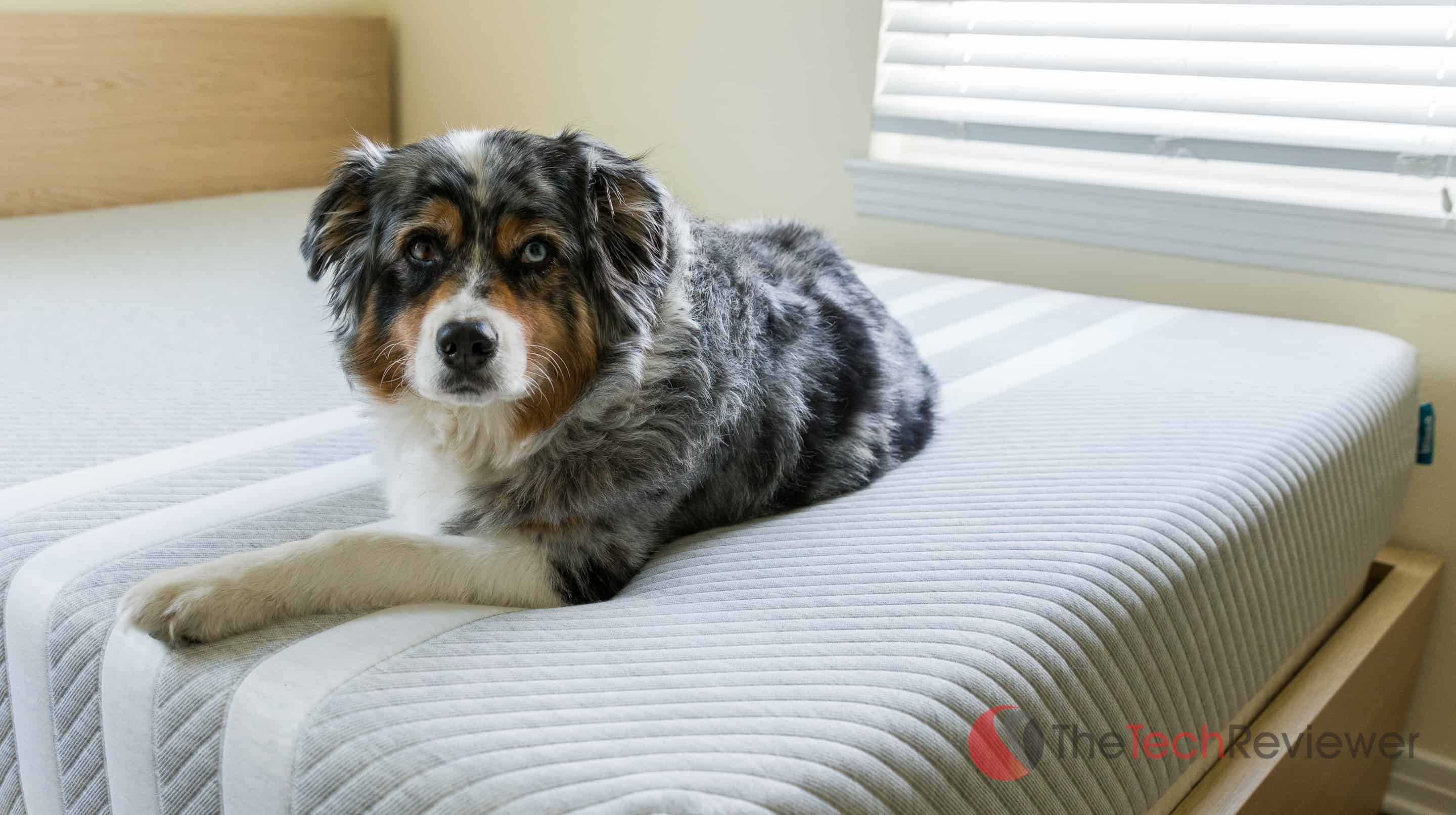 Leesa Mattress Review 2851
