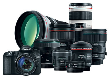 Canon 70D and 80D Lenses