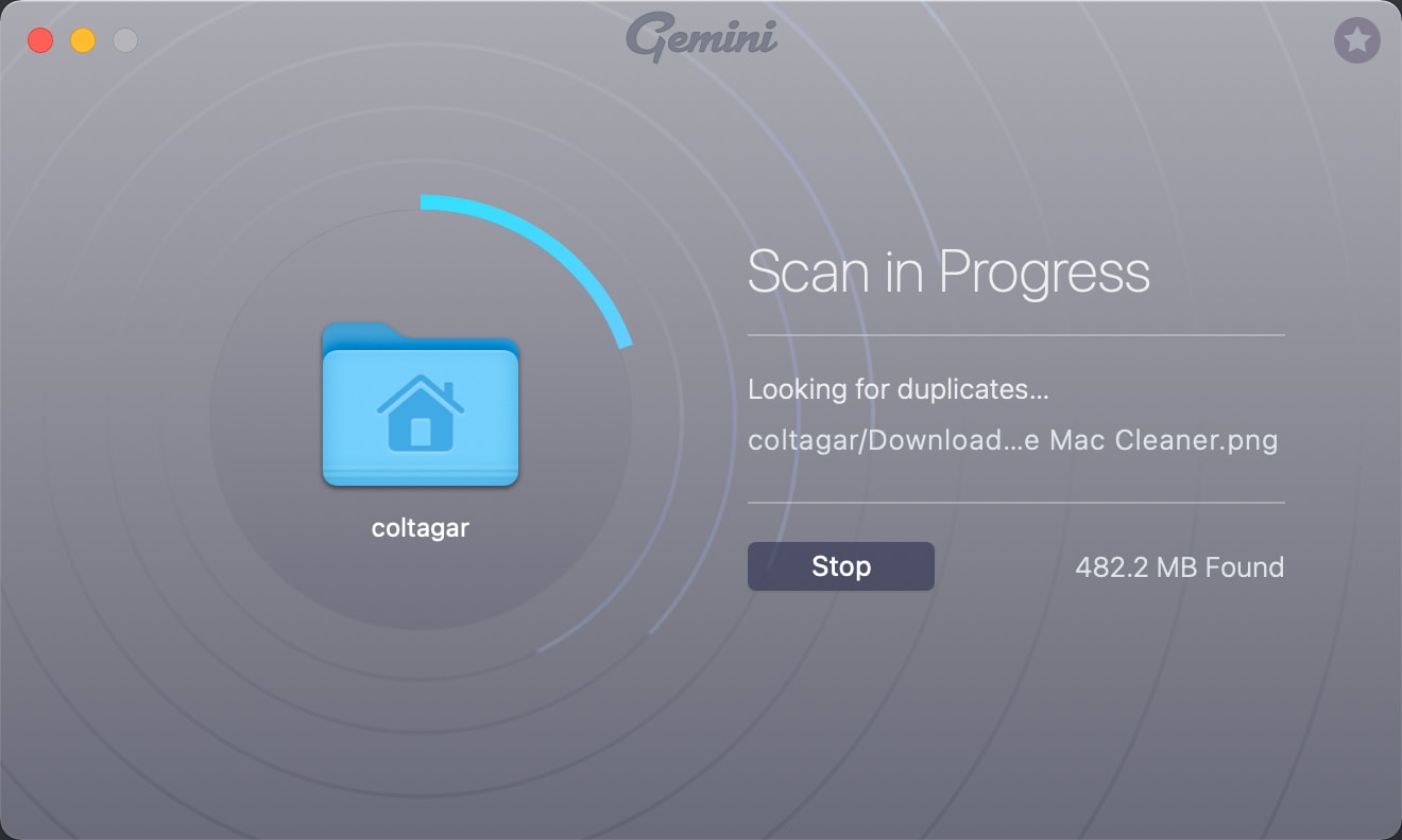 Gemini Scanning Process